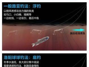 探讨路亚钓鱼中使用抛投器的必要性与优势（提升路亚钓鱼效率的利器——抛投器的使用技巧与注意事项）