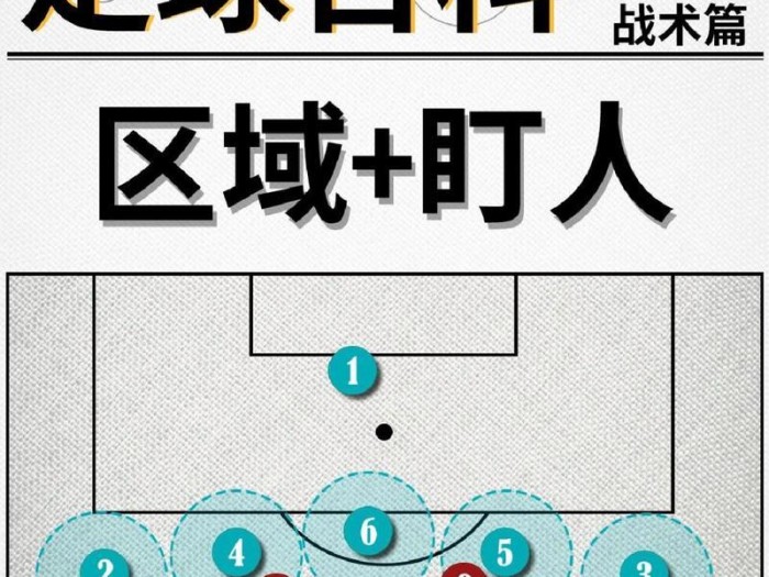 掌握9人制足球后卫技巧的关键要点（提升防守能力，稳固球队防线的秘诀）