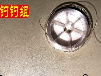 探讨以路亚前导线是不是钓鱼线的关系（揭开以路亚前导线的神秘面纱，了解其与传统钓鱼线的区别与联系）