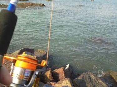 雨后钓鱼，何时选择钓深还是钓浅？（如何根据不同情况选择最佳路亚钓法）