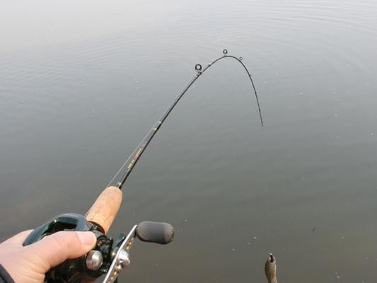 河钓最佳调漂技巧揭秘（以河里钓鱼用什么调路亚最好？一网打尽！）