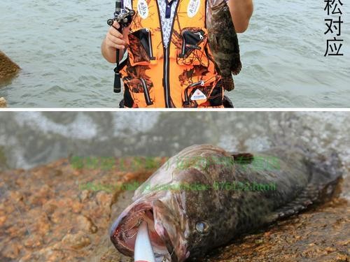 农村钓鱼用路亚竿的优势和技巧（提高农村钓鱼效果的利器）
