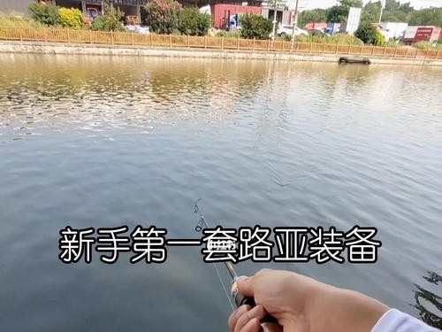 路亚和手竿钓鱼的区别（新手如何选择适合自己的钓鱼方式？）