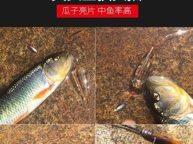 路亚钓鱼淡水鱼瓜子亮片的诱惑力（揭秘瓜子亮片在路亚钓鱼中的绝对优势）