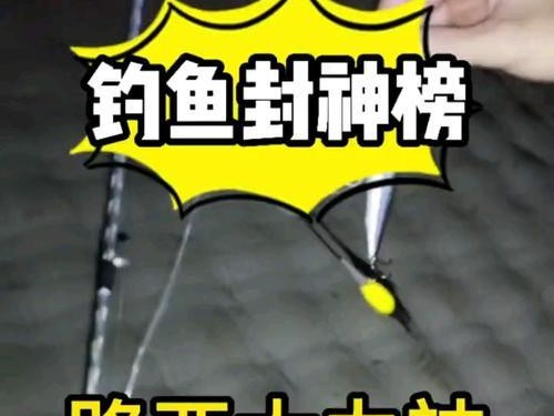 学钓鱼，路亚还是台钓更好？（寻找适合你的钓鱼方式，探索最佳的垂钓体验）
