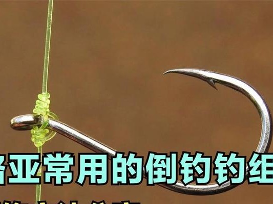 路亚钓鱼竿的玩法与技巧（探寻路亚钓鱼竿的魅力与奥秘）