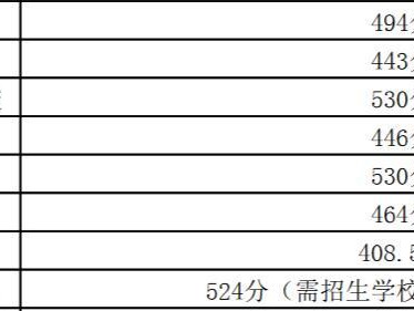 探讨广东中考游泳技巧分数线的影响因素（游泳技巧分数线的评定标准及关键要素解析）