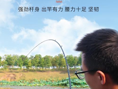 掌握路亚甩竿钓鱼的正确方法（技巧、装备、以及正确运用之关键）