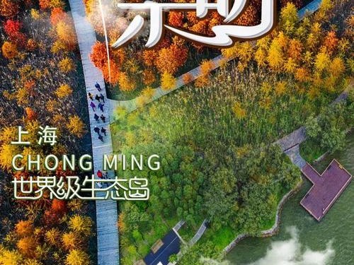 崇明奚家港闸口路亚钓鱼之旅（探寻自然美景，感受钓鱼乐趣）