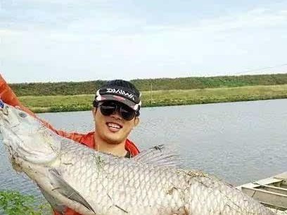 探秘路亚亮片钓鱼之技巧与经验（学习路亚亮片钓鱼，提升垂钓技巧，感受钓鱼乐趣）