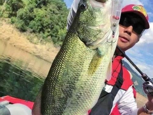 柴泊湖钓鱼路亚攻略（探寻柴泊湖的钓鱼路亚技巧）