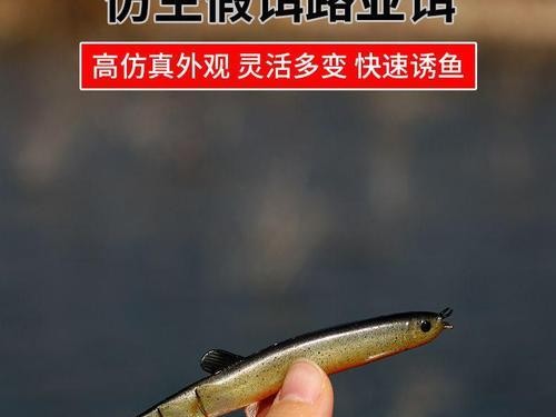 路亚活泥鳅钓鱼的最佳钩型选择（选择适合路亚活泥鳅钓鱼的钩型，关键在于细致观察和合理搭配）