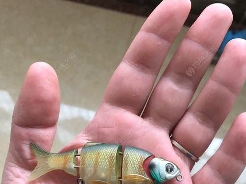 路亚急流钓鱼的技巧与策略（探索钓底和钓浮的不同鱼种效果与方法）
