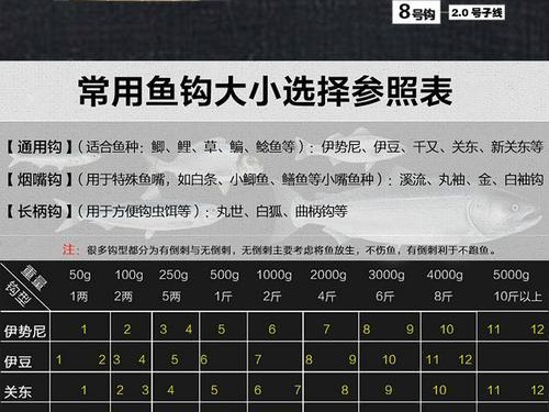 路亚钓鱼的主线选择及技巧（探讨路亚钓鱼中使用合适主线的重要性与技巧）
