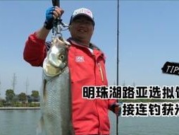 探讨合适的路亚竿长度在钓鱼中的实用价值（选择最佳路亚竿长度，提升钓鱼效果的关键）