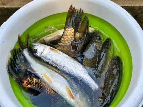 通州大运河（探秘通州大运河，尽情享受路亚钓鱼的乐趣）
