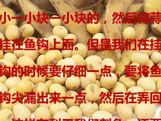自制大全！路亚钓鱼饵料配方一网打尽（挑战传统，自己动手，路亚钓鱼更有成就感）