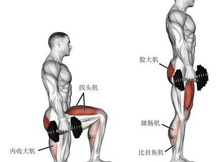 提升下肢防守力量，成为篮球场上的铁壁（打造强大下肢肌肉，阻挡对手进攻）