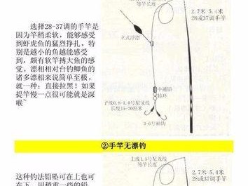 选择适合路亚串钩钓鱼的主线号码（如何选择适合路亚串钩钓鱼的主线号码及使用技巧）