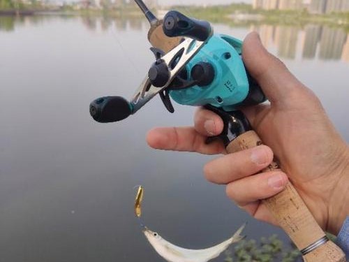 微物路亚，在小河沟畅享钓鱼乐趣（探寻微物路亚钓法的魅力与技巧）