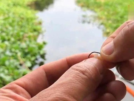 掌握高效路亚钓鱼技巧，提高上鱼速度（探索以路亚钓鱼技巧为主的高效捕鱼方法）