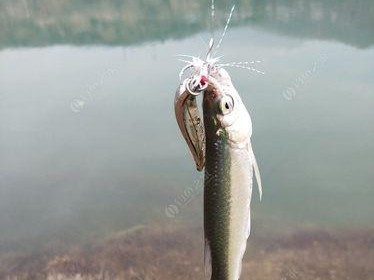 探讨以路亚鱼起浮钓鱼的最佳技巧（挑选合适的路亚鱼以及正确使用方法，让你轻松钓到大鱼）