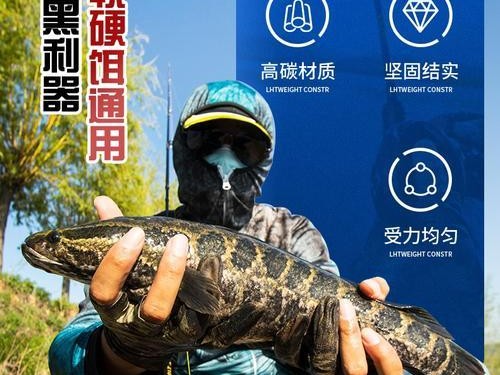 以路亚能否挂活物钓鱼杆的争议及其影响（探讨路亚钓法在挂活物钓鱼中的有效性与局限性）