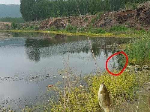 以野钓路亚钓鱼如何选择钓点（从地形、水质到鱼情，全面分析如何选择最佳钓点）