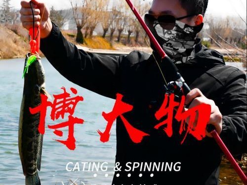 以路亚钓鱼竿（探索路亚钓鱼竿的多样应用与效果）