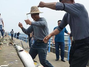 普京钓鱼之路（探寻俄罗斯总统的钓鱼乐趣，揭开普京钓鱼的秘密）