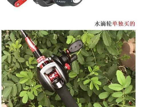 用几米的路亚竿钓鱼，最合适的选择是什么？（以用几米的路亚竿钓鱼为主题的综合指南）
