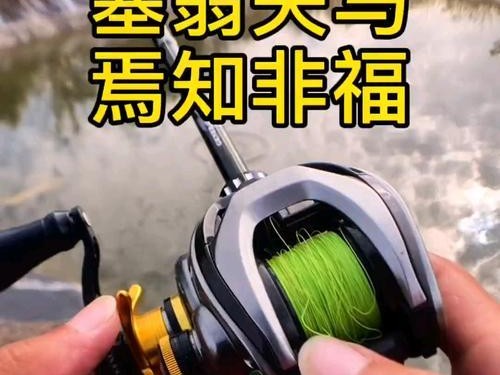 没有浮标的路亚竿钓鱼技巧（探索路亚钓鱼的新玩法，摆脱传统浮标依赖）