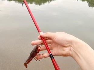 如何让小孩使用路亚钓鱼竿（让孩子享受钓鱼乐趣的指南）