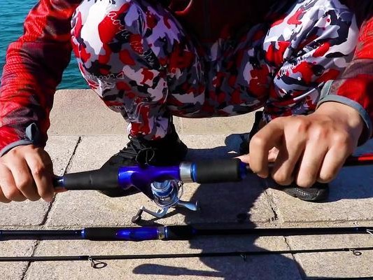 沙滩钓鱼利用路亚竿的好处（探索路亚竿在沙滩垂钓中的优势和技巧）