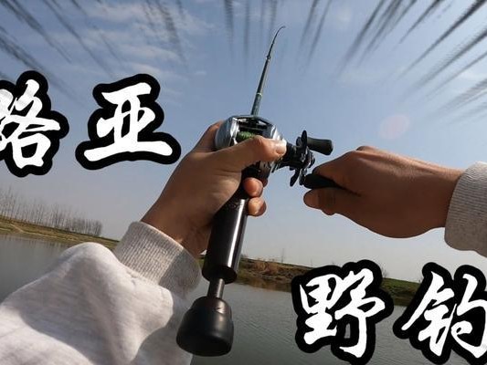 用路亚杆在小沟里钓鱼的技巧（掌握钓鱼技巧，畅享小沟垂钓乐趣）