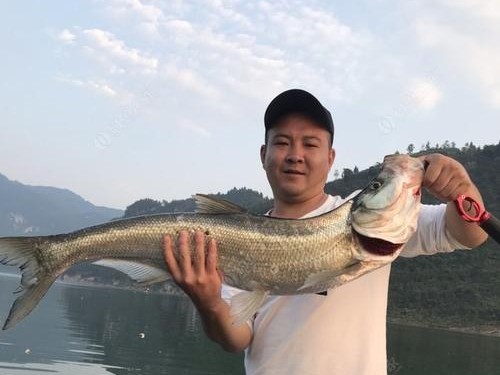 以路亚北风3级好钓鱼吗？（探究北风3级对路亚钓鱼的影响及技巧）
