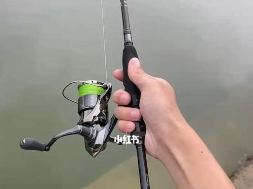 探讨路亚钓鱼的最佳早晨时刻（揭秘路亚钓鱼的黄金时间段，助你捕获丰收的一天）