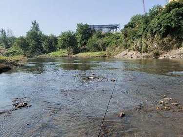 顺德区路亚钓鱼胜地（探索顺德区最佳路亚钓鱼地点）