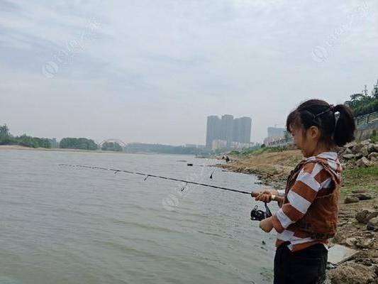 路亚钓法与传统钓法的比较（探讨不同钓法对钓鱼的影响及效果）