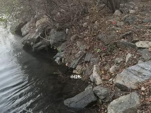 自制钓鱼路亚竿，展现你的创造力（发挥个人特色，享受自己的钓鱼乐趣）