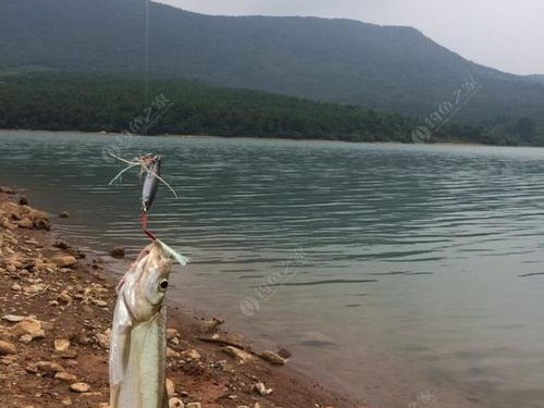 探讨海滩路亚钓鱼的最佳时间（上午还是下午更适合？）