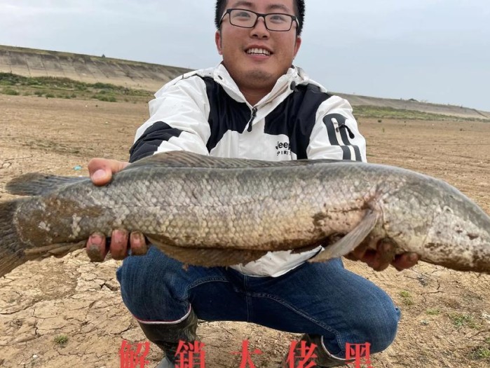 小哥用路亚竿钓鱼给猫吃（猫咪的美食享受和人类的温情亲密）