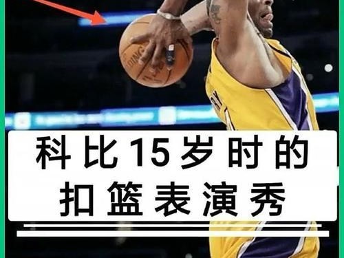 世界最强篮球防守员排名（揭秘全球最顶尖篮球防守天才，谁才是王者？）