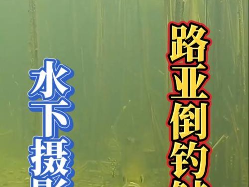 钓鱼新手也能玩转路亚技巧（路亚钓法入门指南，教你成为钓鱼高手）