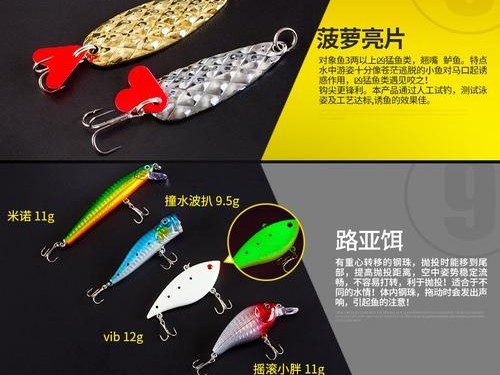 掌握路亚鱼杆钓鱼饵料的技巧（提升钓鱼成功率的秘诀）