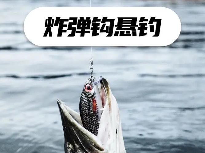 路亚杆在水库钓鱼的技巧与经验分享（打破常规，探寻水库钓鱼的新境界）