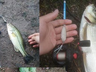 钓鱼神器！以路亚用什么草最好？（揭秘钓鱼高招，草种选择决定成败）