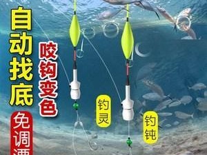 白条路亚钓鱼竿调漂技巧（掌握合适的漂调整，提高钓鱼效果）