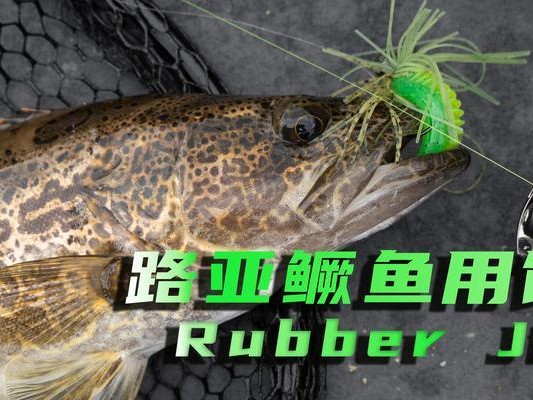 如何选择适合路亚钓鱼的饵料（探索路亚钓鱼饵料的型号选择秘诀）