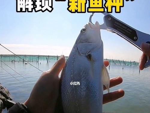 夜晚路亚钓鱼不见口？解析原因和应对方法（路亚夜钓为什么没有鱼上钩？如何提高夜晚钓鱼效果？）